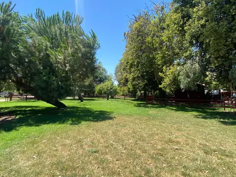 Exterior - 423 Hogue Rd, Modesto, CA 95356 photo 6 of 7