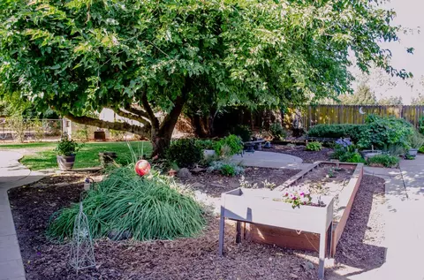 2482 E Collier Rd, Acampo, CA 95220 photo 24