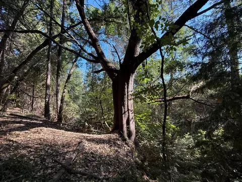 0 Lake City Rd, Nevada City, CA 95959