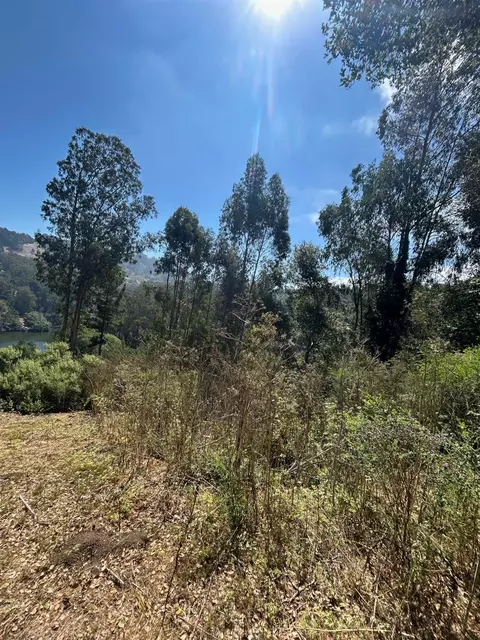 0 Wildcat Canyon Rd, Berkeley, CA 94708 photo 5