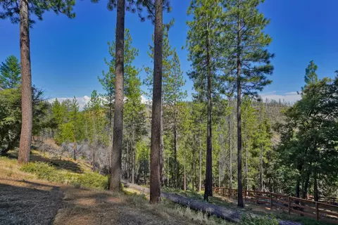 Exterior - 5855 Sly Park Rd, Pollock Pines, CA 95726 photo 14 of 14