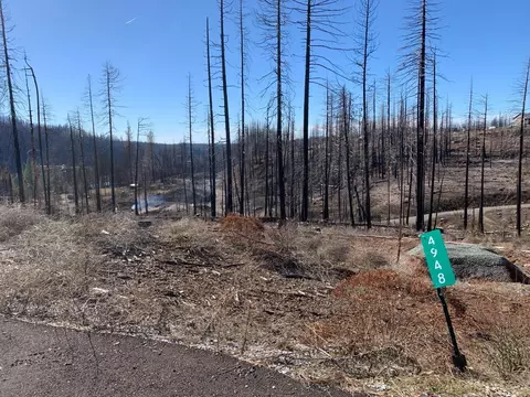 4948 Edgewood Cir, Grizzly Flats, CA 95636