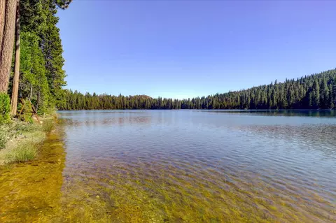 37332 Golden Sheen Way, Nevada City, CA 95959