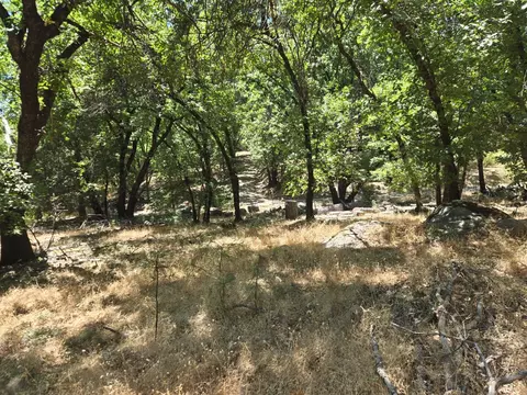 Exterior - 104 Marshall Way, West Point, CA 95255 photo 4 of 10
