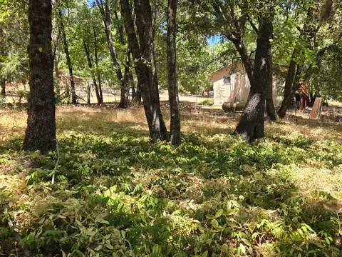Exterior - 104 Marshall Way, West Point, CA 95255 photo 2 of 10