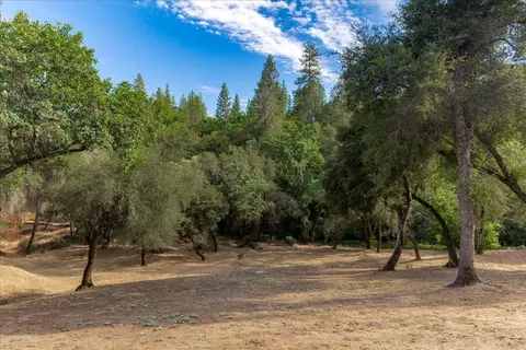4161 Jaw Bone Rd, Placerville, CA 95667 photo 45