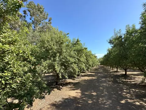 0 Cardella, Merced, CA 95340 photo 6