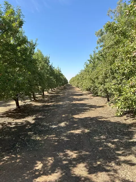 0 Cardella, Merced, CA 95340 photo 4