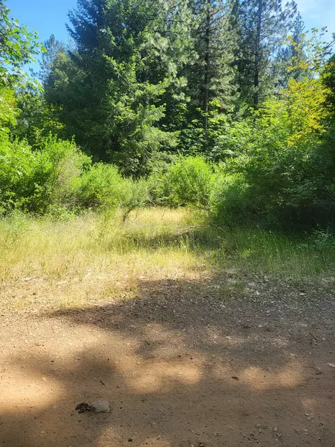 15555 Buckeye Ridge Rd, Nevada City, CA 95959