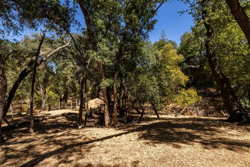 Exterior - 5312 Tall Oak Ln, Fair Oaks, CA 95628 photo 16 of 18
