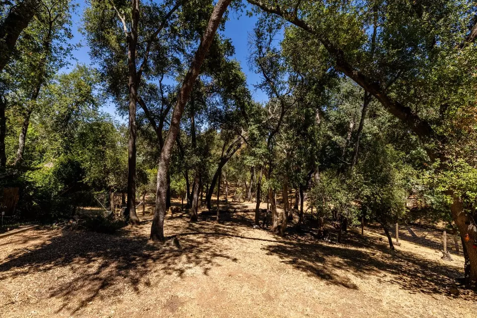 Exterior - 5312 Tall Oak Ln, Fair Oaks, CA 95628 photo 11 of 18