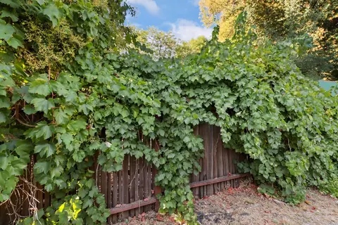 909 Eureka Ave, Davis, CA 95616 photo 35