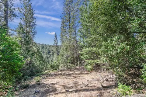 21670 Clute Canyon Rd, Volcano, CA 95689