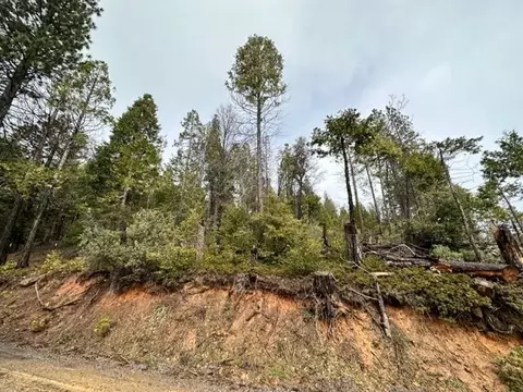 19950 Mountain Misery Rd, Twain Harte, CA 95383