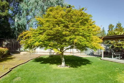 Exterior - 3600 E Hawkeye Ave, Turlock, CA 95380 photo 12 of 17