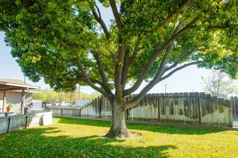 Exterior - 3600 E Hawkeye Ave, Turlock, CA 95380 photo 13 of 17