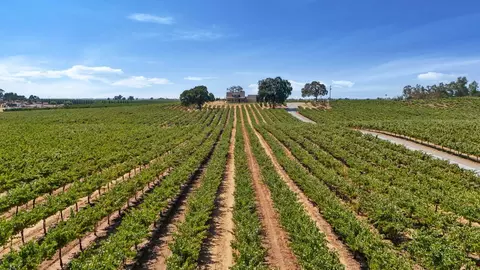 Other - 18739 Clements Rd, Lodi, CA 95240 photo 6 of 10