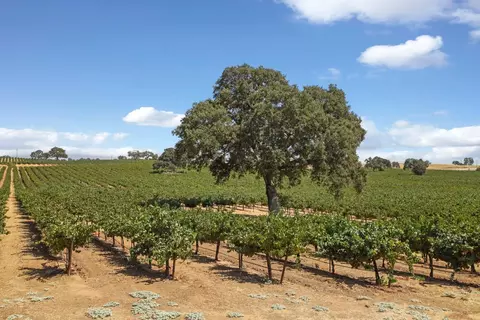 Other - 18739 Clements Rd, Lodi, CA 95240 photo 7 of 10