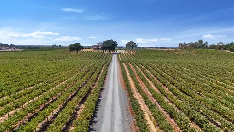 Other - 18739 Clements Rd, Lodi, CA 95240 photo 5 of 10