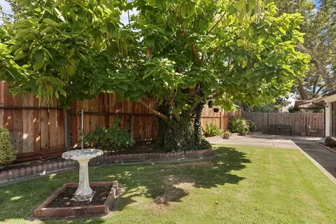 248 S Corinth Ave, Lodi, CA 95242 photo 30