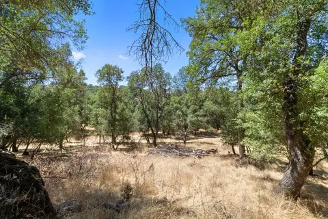 2017 Centennial, Angels Camp, CA 95222 photo 41