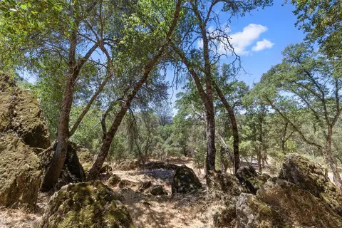 2017 Centennial, Angels Camp, CA 95222 photo 37