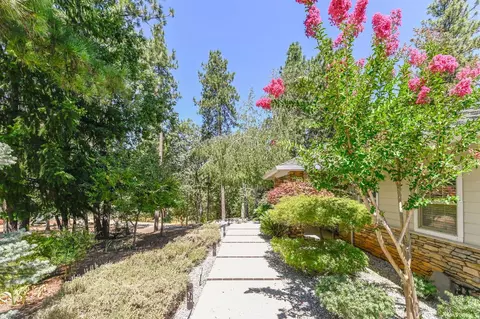 Exterior - 13680 Elderberry Dr, Pine Grove, CA 95665 photo 12 of 20