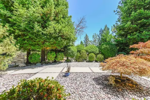 Exterior - 13680 Elderberry Dr, Pine Grove, CA 95665 photo 17 of 20