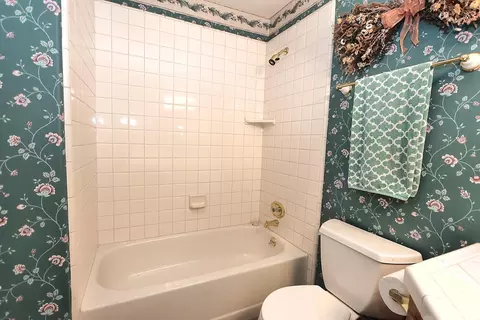 Bath - 5560 Getta Way, Pilot Hill, CA 95664 photo 7 of 7