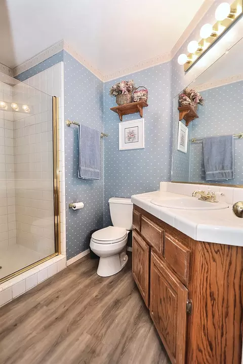 Bath - 5560 Getta Way, Pilot Hill, CA 95664 photo 2 of 7