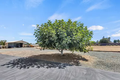 Exterior - 3495 E Collier Rd, Acampo, CA 95220 photo 10 of 31