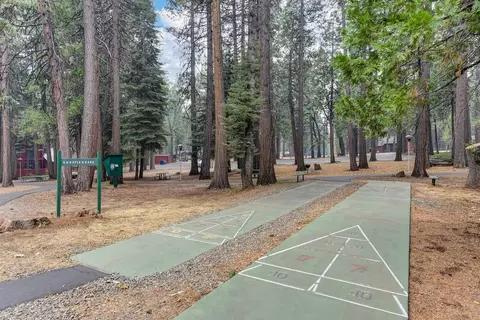3900 Opal Trl, Pollock Pines, CA 95726 photo 62