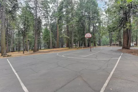 3900 Opal Trl, Pollock Pines, CA 95726 photo 57