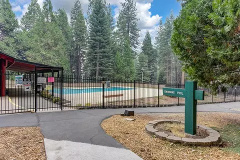 3900 Opal Trl, Pollock Pines, CA 95726 photo 61