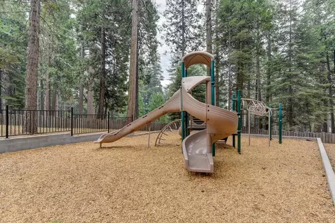 3900 Opal Trl, Pollock Pines, CA 95726 photo 64
