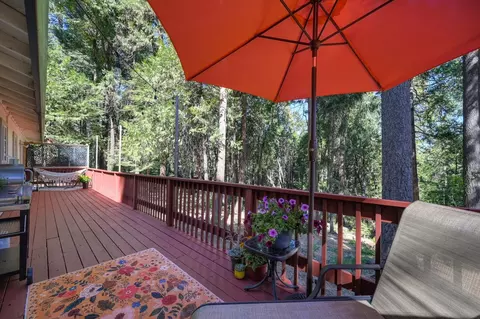 3900 Opal Trl, Pollock Pines, CA 95726 photo 43