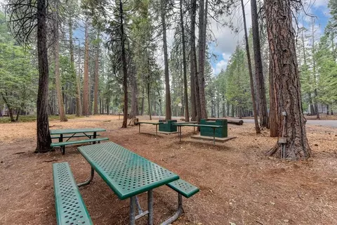 3900 Opal Trl, Pollock Pines, CA 95726 photo 60