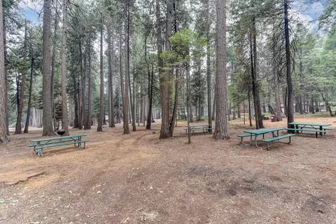3900 Opal Trl, Pollock Pines, CA 95726 photo 59