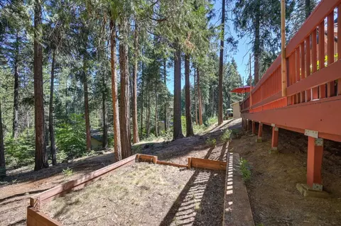 3900 Opal Trl, Pollock Pines, CA 95726 photo 49
