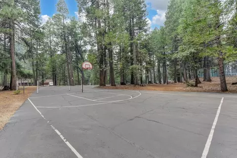 3900 Opal Trl, Pollock Pines, CA 95726 photo 58