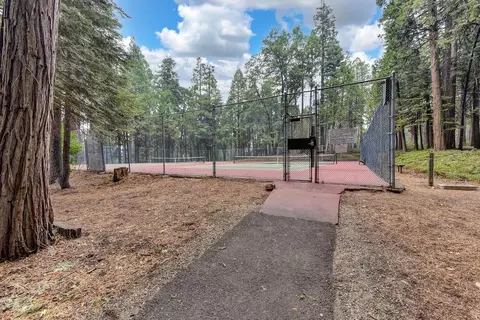 3900 Opal Trl, Pollock Pines, CA 95726 photo 67