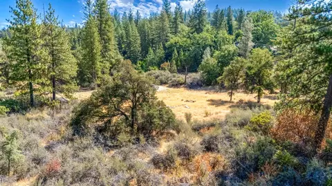 35 Amapola Ct, Pollock Pines, CA 95726 photo 4