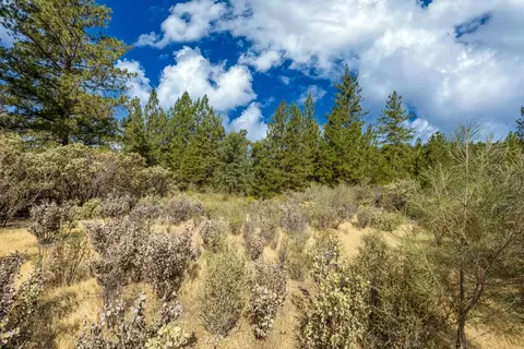 35 Amapola Ct, Pollock Pines, CA 95726 photo 3