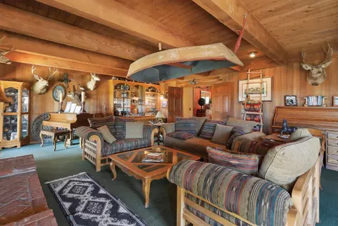 Living - 22050 E Buena Vista Rd, Clements, CA 95227 photo 3 of 8