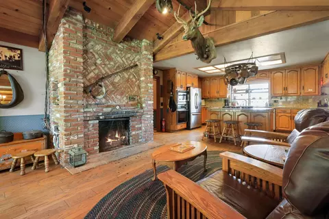 Living - 22050 E Buena Vista Rd, Clements, CA 95227 photo 8 of 8