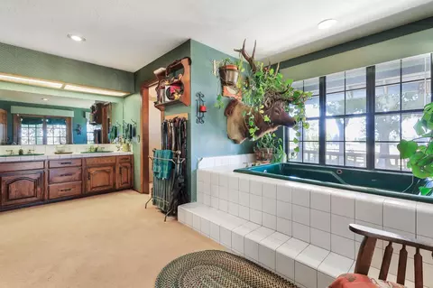 Bath - 22050 E Buena Vista Rd, Clements, CA 95227 photo 5 of 6