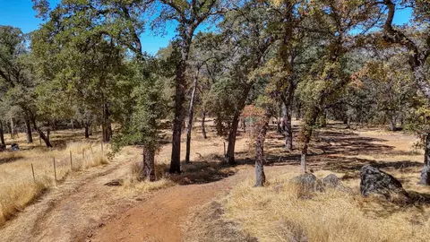 6646 Sourdough Trl, Placerville, CA 95667 photo 16