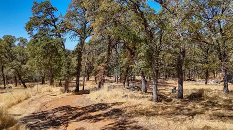 6646 Sourdough Trl, Placerville, CA 95667 photo 22