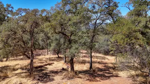 6646 Sourdough Trl, Placerville, CA 95667 photo 33