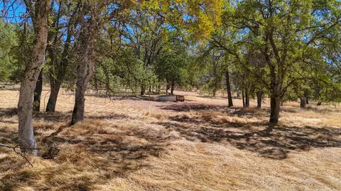 6646 Sourdough Trl, Placerville, CA 95667 photo 18